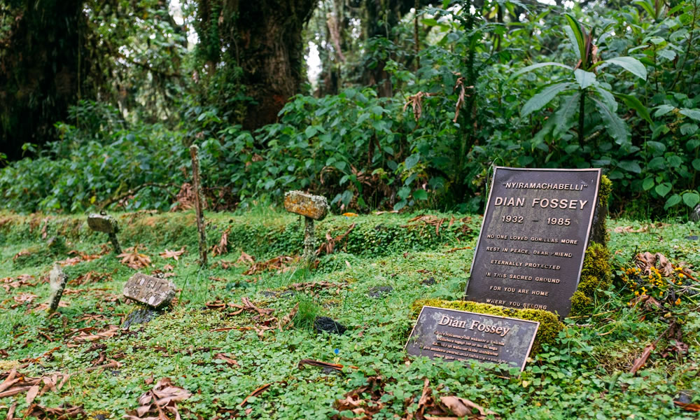 Hike to the Dian Fossey Tomb in Rwanda